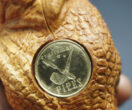 T-Rex pipe for sale | Hand carved pipes by Max Bogdan
