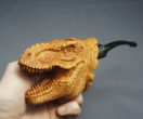 Dinosaur Smoking Pipe