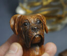 Boxer cigar holder