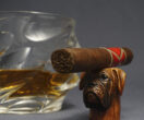 Boxer cigar holder