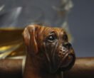 Boxer cigar holder