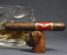 Boxer cigar holder