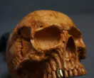 Skull Pipe