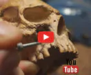 Skull pipe